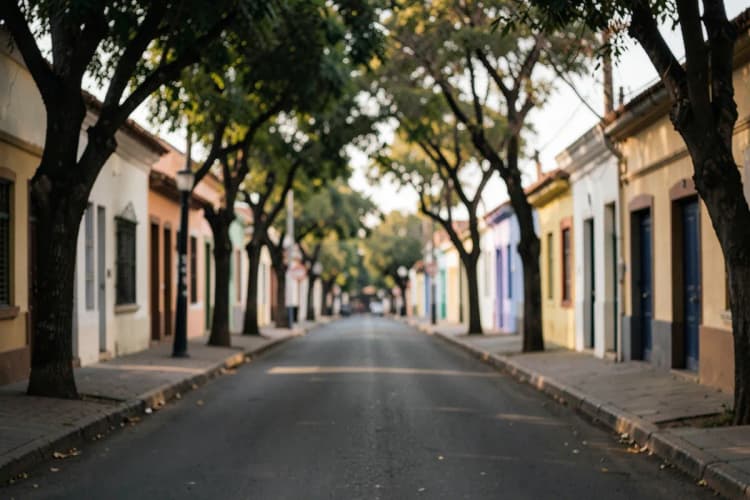 Rua arborizada em um bairro tranquilo de Curitiba com casas e pequenos comércios
